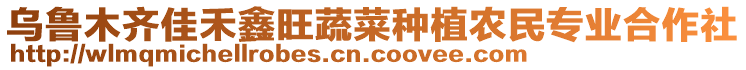 烏魯木齊佳禾鑫旺蔬菜種植農(nóng)民專業(yè)合作社