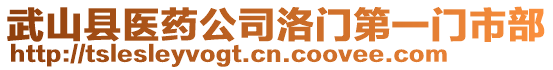 武山縣醫(yī)藥公司洛門第一門市部