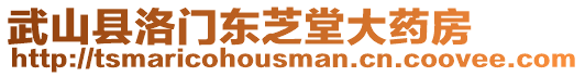 武山縣洛門(mén)東芝堂大藥房