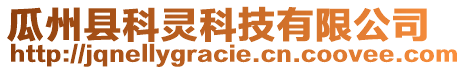 瓜州縣科靈科技有限公司