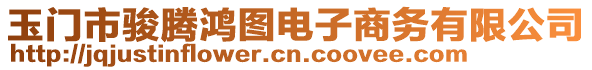 玉門市駿騰鴻圖電子商務(wù)有限公司