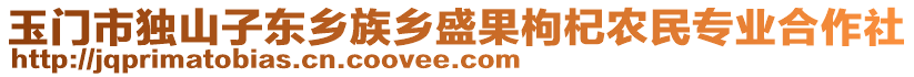 玉門市獨山子?xùn)|鄉(xiāng)族鄉(xiāng)盛果枸杞農(nóng)民專業(yè)合作社