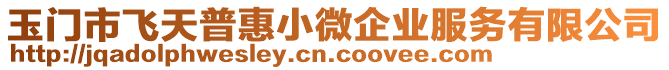 玉門市飛天普惠小微企業(yè)服務(wù)有限公司