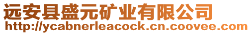 遠安縣盛元礦業(yè)有限公司