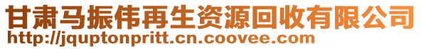 甘肅馬振偉再生資源回收有限公司