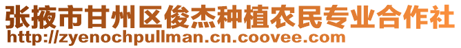 張掖市甘州區(qū)俊杰種植農(nóng)民專業(yè)合作社
