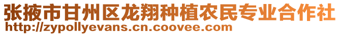 張掖市甘州區(qū)龍翔種植農(nóng)民專業(yè)合作社