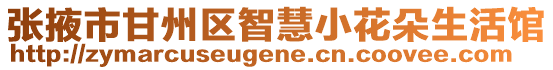 張掖市甘州區智慧小花朵生活館