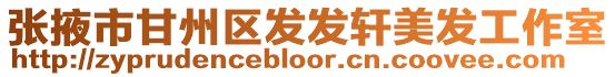 張掖市甘州區(qū)發(fā)發(fā)軒美發(fā)工作室