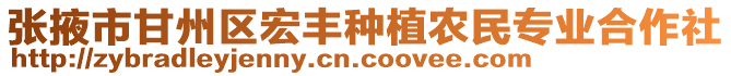 張掖市甘州區宏豐種植農民專業合作社
