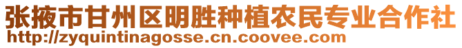 張掖市甘州區(qū)明勝種植農(nóng)民專業(yè)合作社