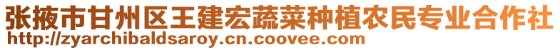 張掖市甘州區(qū)王建宏蔬菜種植農(nóng)民專業(yè)合作社