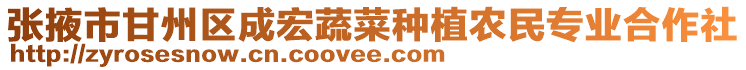張掖市甘州區成宏蔬菜種植農民專業合作社