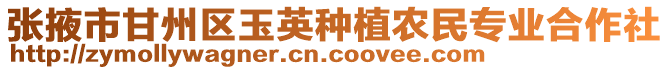 張掖市甘州區(qū)玉英種植農(nóng)民專業(yè)合作社