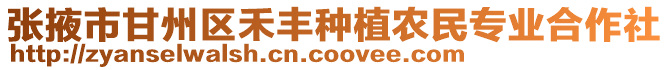 張掖市甘州區(qū)禾豐種植農(nóng)民專業(yè)合作社