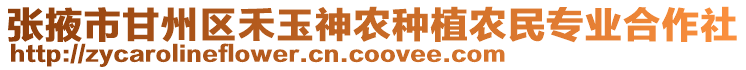 張掖市甘州區(qū)禾玉神農(nóng)種植農(nóng)民專業(yè)合作社