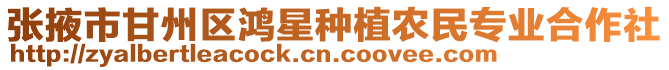 張掖市甘州區(qū)鴻星種植農(nóng)民專業(yè)合作社