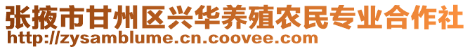 張掖市甘州區興華養殖農民專業合作社