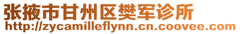 張掖市甘州區樊軍診所