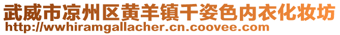 武威市涼州區(qū)黃羊鎮(zhèn)千姿色內(nèi)衣化妝坊