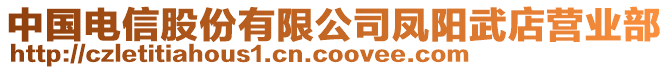 中國電信股份有限公司鳳陽武店營業(yè)部