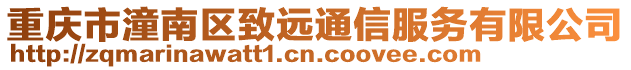 重慶市潼南區(qū)致遠通信服務有限公司