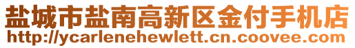 鹽城市鹽南高新區(qū)金付手機店