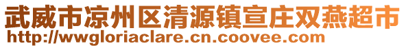 武威市涼州區(qū)清源鎮(zhèn)宣莊雙燕超市