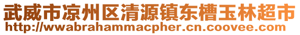 武威市涼州區(qū)清源鎮(zhèn)東槽玉林超市