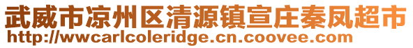 武威市涼州區(qū)清源鎮(zhèn)宣莊秦鳳超市