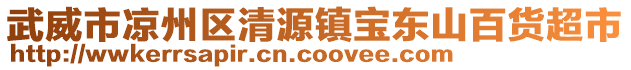 武威市涼州區(qū)清源鎮(zhèn)寶東山百貨超市