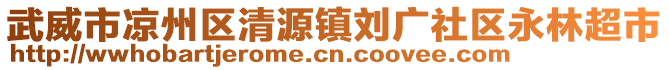 武威市涼州區(qū)清源鎮(zhèn)劉廣社區(qū)永林超市