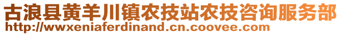 古浪县黄羊川镇农技站农技咨询服务部