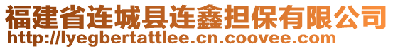 福建省連城縣連鑫擔(dān)保有限公司