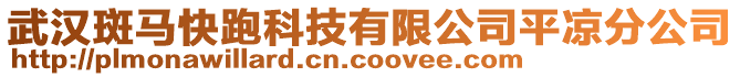 武漢斑馬快跑科技有限公司平?jīng)龇止? style=