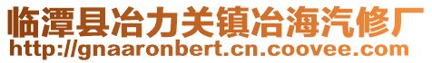 临潭县冶力关镇冶海汽修厂