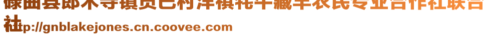 碌曲縣郎木寺鎮(zhèn)貢巴村洋祺牦牛藏羊農(nóng)民專業(yè)合作社聯(lián)合
社