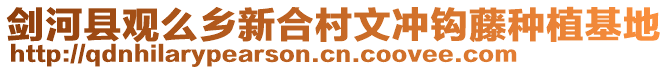 劍河縣觀么鄉(xiāng)新合村文沖鉤藤種植基地