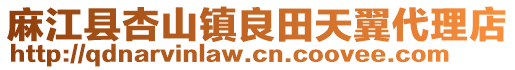 麻江縣杏山鎮(zhèn)良田天翼代理店