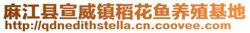 麻江县宣威镇稻花鱼养殖基地