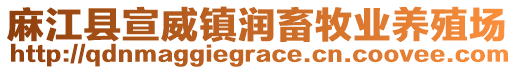 麻江縣宣威鎮(zhèn)潤畜牧業(yè)養(yǎng)殖場