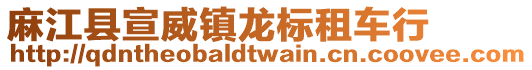 麻江縣宣威鎮(zhèn)龍標(biāo)租車行