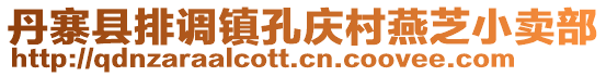 丹寨縣排調(diào)鎮(zhèn)孔慶村燕芝小賣部