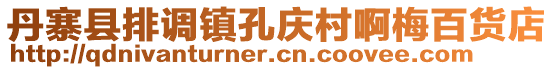 丹寨縣排調(diào)鎮(zhèn)孔慶村啊梅百貨店