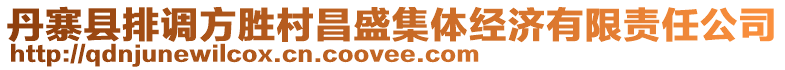 丹寨縣排調(diào)方勝村昌盛集體經(jīng)濟(jì)有限責(zé)任公司