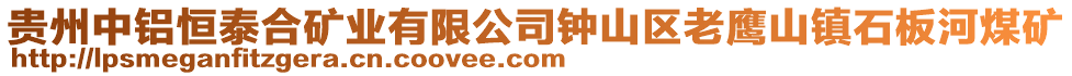 貴州中鋁恒泰合礦業(yè)有限公司鐘山區(qū)老鷹山鎮(zhèn)石板河煤礦