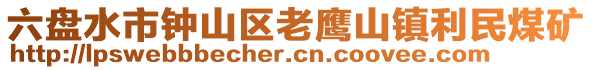 六盤水市鐘山區(qū)老鷹山鎮(zhèn)利民煤礦