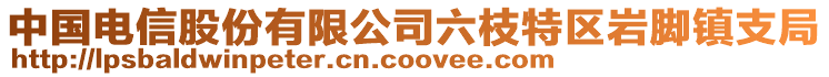 中國電信股份有限公司六枝特區(qū)巖腳鎮(zhèn)支局