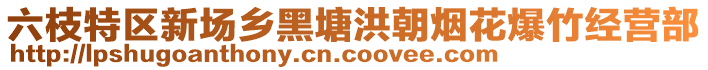 六枝特區(qū)新場鄉(xiāng)黑塘洪朝煙花爆竹經(jīng)營部