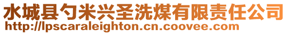 水城县勺米兴圣洗煤有限责任公司